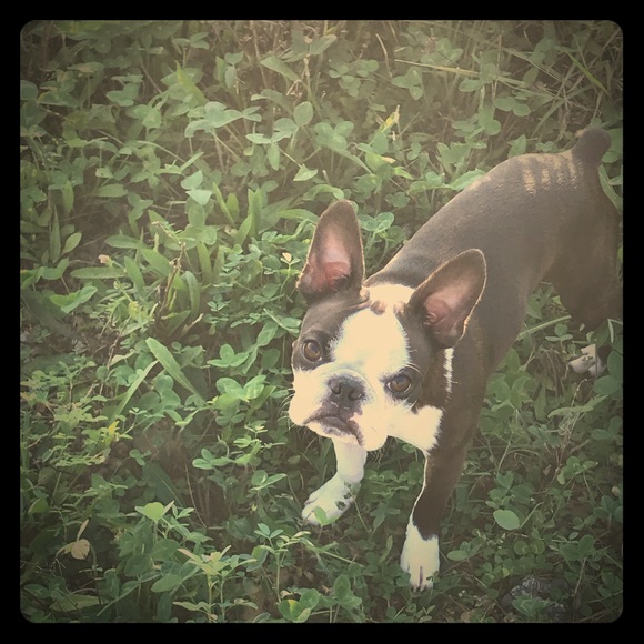 Meet your Posher, Mary - Picture 1 of 2